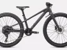 Riprock 24_Rosolafreebikes