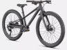 Riprock -24_Rosolafreebikes