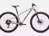 Specialized Rockhopper Comp 29-Rosolafreebikes