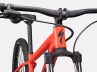 Specialized Rockhopper _Comp 29 -FRYRED-Rosolafreebikes