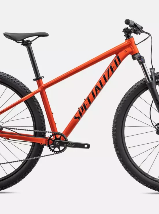 Specialized Rockhopper _Comp 29 -FRYRED-Rosolafreebikes