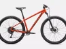 Specialized Rockhopper _Comp 29 -FRYRED-Rosolafreebikes