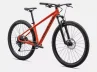 Specialized_ Rockhopper _Comp 29 -FRYRED-Rosolafreebikes