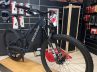 Specialized Stumpjumper navy -Rosolafreebikes