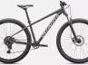 Rockhopper Sport-Rosolafreebikes